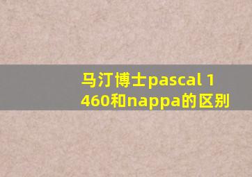 马汀博士pascal 1460和nappa的区别